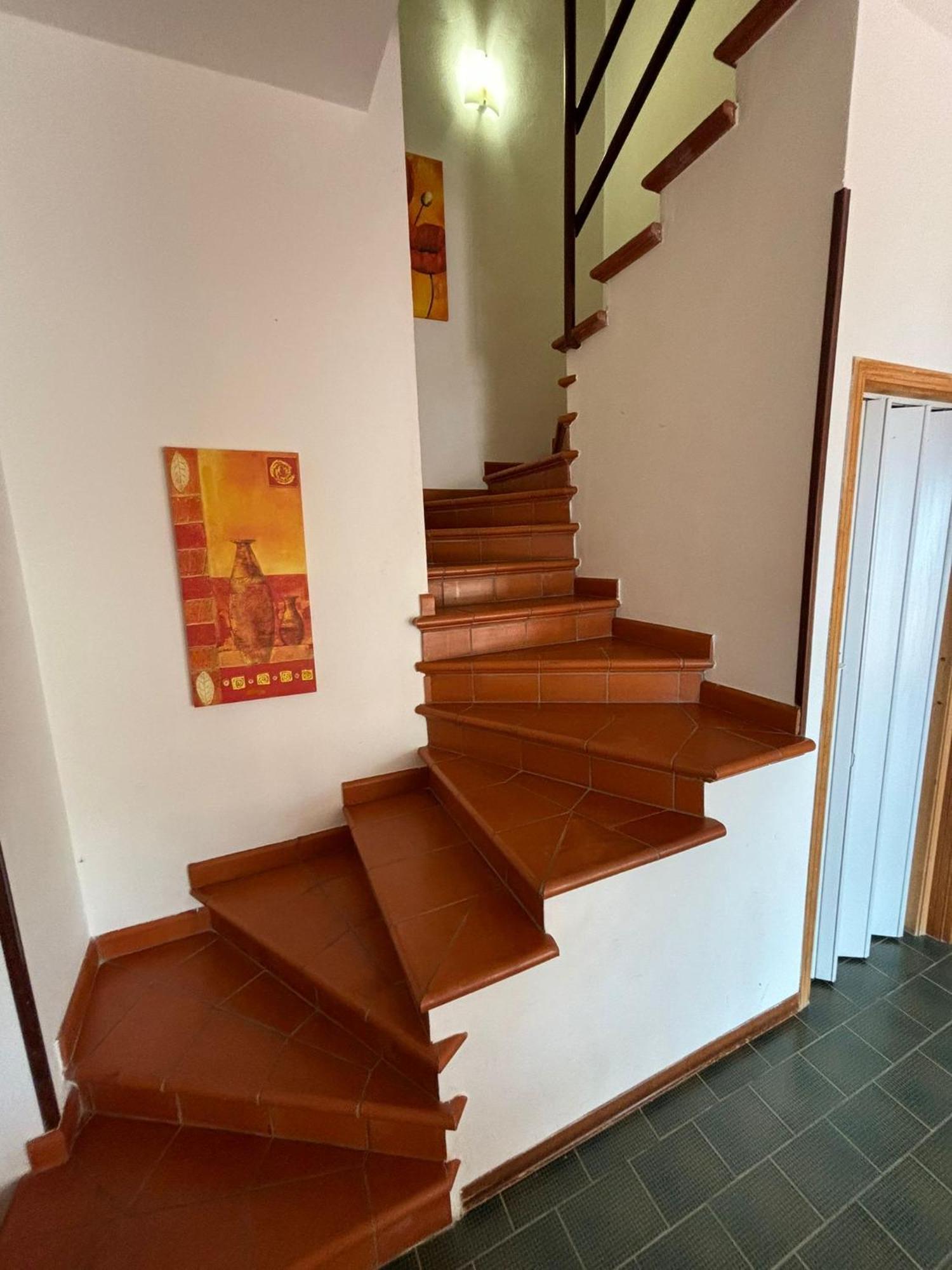 Villa Hibiscus Scopello Scopello  Kültér fotó