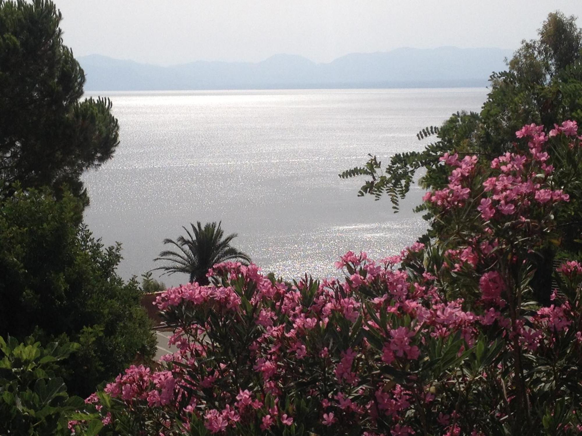 Villa Hibiscus Scopello Scopello  Kültér fotó